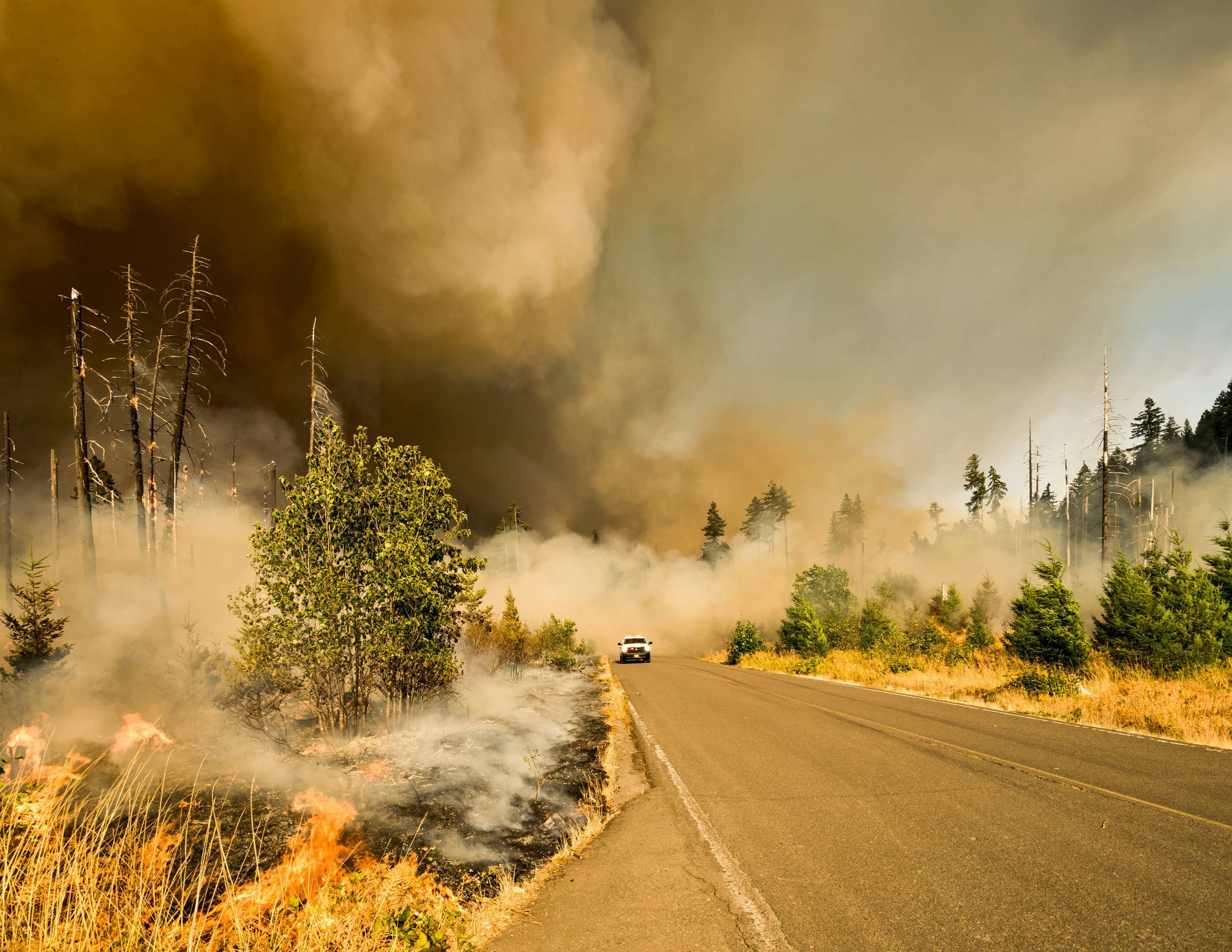 Canada's Wildfire Crisis Fuels Climate Tech Race