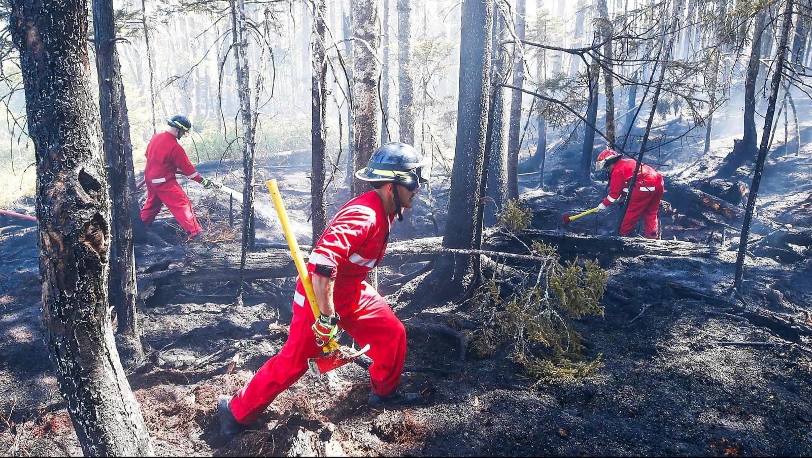 Canada's Wildfire Season in 2026: What to Expect